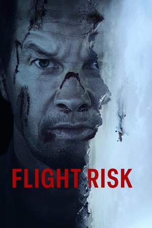 Flight Risk (2025) 4K | 1080p | 720p | 480p WEB-HDRip [Hindi + English (DD5.1)]
