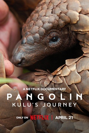Pangolin Kulus Journey (2025) 1080p | 720p | 480p WEB-HDRip [Hindi (ORG) + English (DD5.1)]