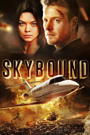 Skybound (2017) 1080p | 720p | 480p BluRay [Hindi + English (DD5.1)]
