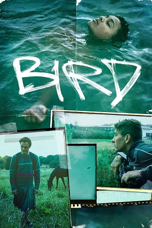 Bird (2024) 1080p | 720p | 480p WEB-HDRip [English (DD5.1)]