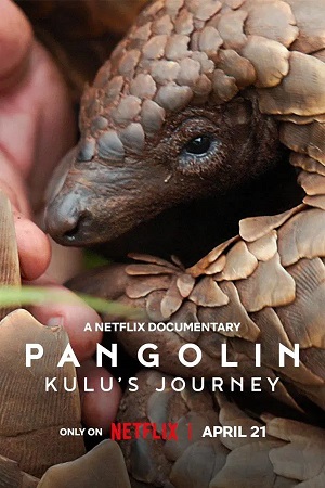 Pangolin kulus Journey (2025) 1080p | 720p | 480p WEB-HDRip [English (DD5.1)]
