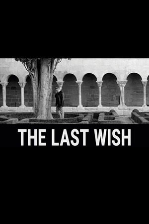 The Last Wish (2025)  1080p | 720p | 480p WEB-HDRip [Hindi (ORG) + Turkish (DD5.1)]